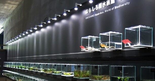 学べる磐梯山サポーター「アクアマリンいなわしろカワセミ水族館」（猪苗代町）では新型コロナウイルス感染拡大防止対策及びお客様への協力をお願いしています。
くわしくはこちら　https://www.aquamarine.or.jp/kawasemi/news/2020/12/02/koronataisaku/
（画像提供：アクアマリンいなわしろカワセミ水族館）

■学べる磐梯山オフィシャルサイト﻿
https://manaberu-bandaisan.jp﻿
■アクアマリンいなわしろカワセミ水族館
https://www.aquamarine.or.jp/kawasemi/